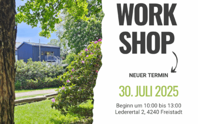 Canva-Workshop: Kreatives Design leicht gemacht